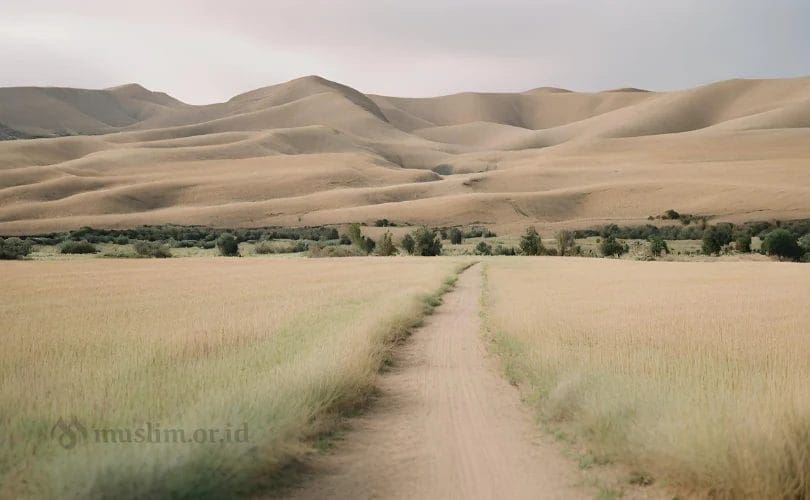Fikih Wakaf (Bag. 2): Wakaf Pertama dalam Islam Fikih Wakaf (Bag. 2): Wakaf Pertama dalam Islam