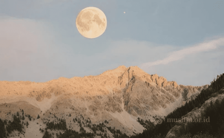 Untaian 23 Faedah Seputar Tauhid dan Akidah (Bag. 6)