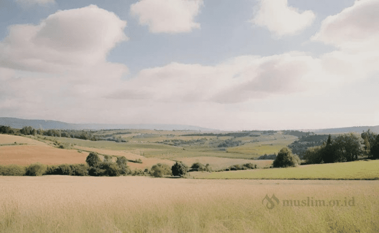 Fikih Wakaf (Bag. 1): Pengertian, Hukum, dan Dalil Pensyariatannya