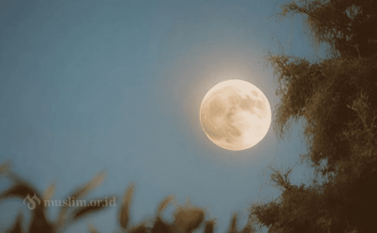 Akan Kumaksimalkan Ramadan Tahun Ini dengan Lebih Baik