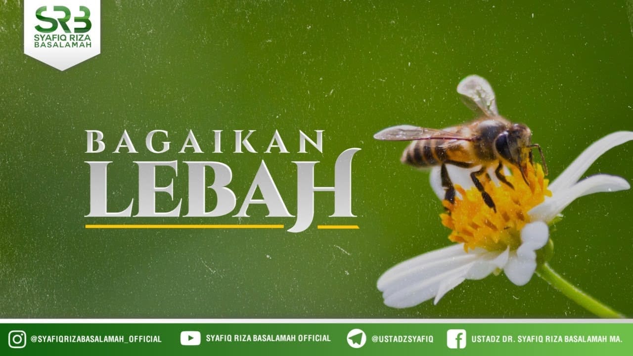 Bagaikan Lebah  – Ustadz Dr. Syafiq Riza Basalamah, M.A.
