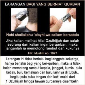 RABU SIANG - 20 DZULQO'DAH 1445

TINGGAL SEKITAR 9 HARI LAGI insyaa Allah kita a...