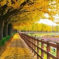 BOLEHKAH MENEGUR ORANG LAIN DENGAN CARA MENYINDIR..? 
simak (audio ringkas) pen… BOLEHKAH MENEGUR ORANG LAIN DENGAN CARA MENYINDIR..? 
simak (audio ringkas) pen…