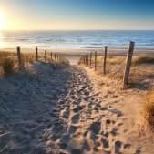 AGAR RASA TAKJUB TIDAK MEMBAWA BENCANA

Dari Abu Umamah rodhiyallahu ‘anhu, Rosu...